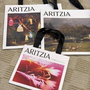 Aritzia Shopping Bags Bag